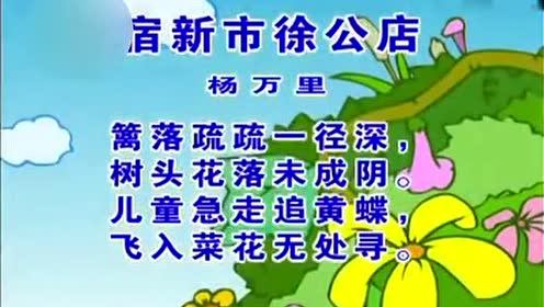 宿新市徐公店题目的意思是什么?