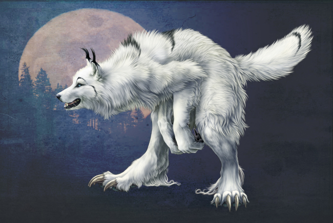 空手套白狼在情侣之间是什么意思