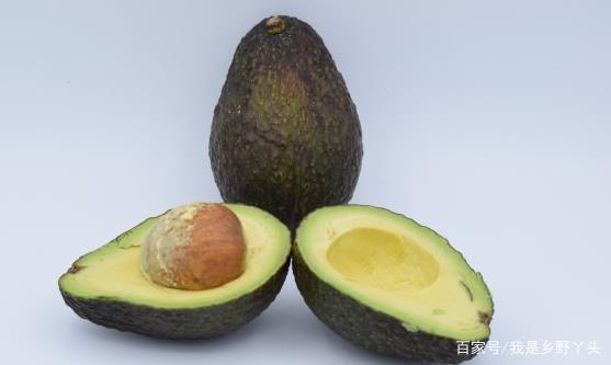 鳄梨是什么?