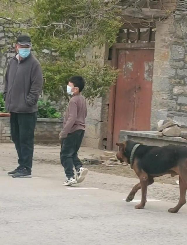 河南一男孩坐在狗狗身上排队做核酸,宠物是否也有被感染的风险?