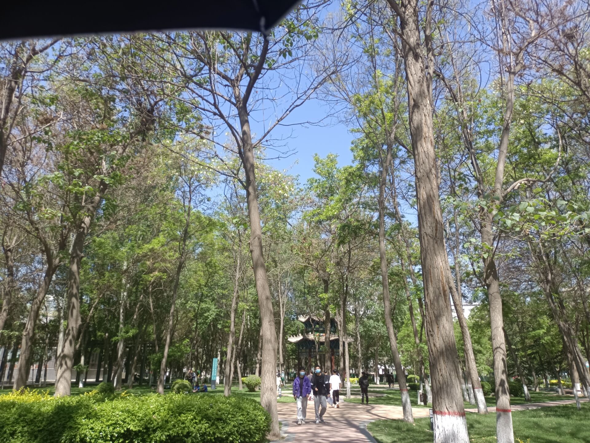 甘肃农业大学怎么样