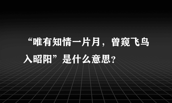 “唯有知情一片月，曾窥飞鸟入昭阳”是什么意思？