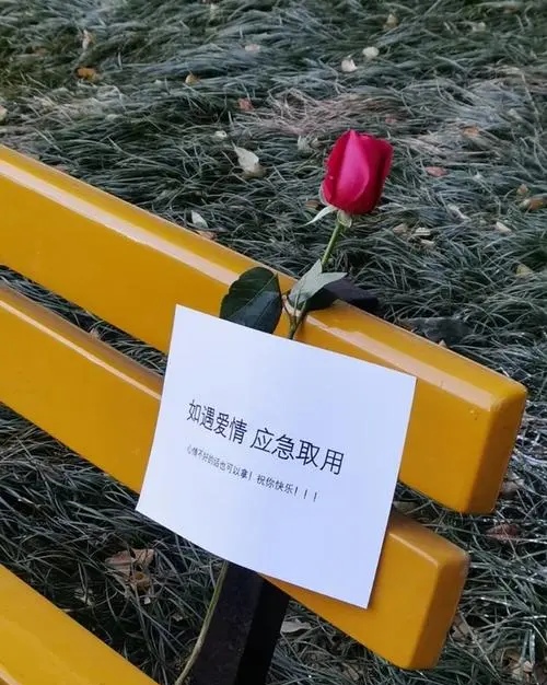 杭州退伍大学生自费准备上百朵应急玫瑰,他们做这一举动的初衷是什么?