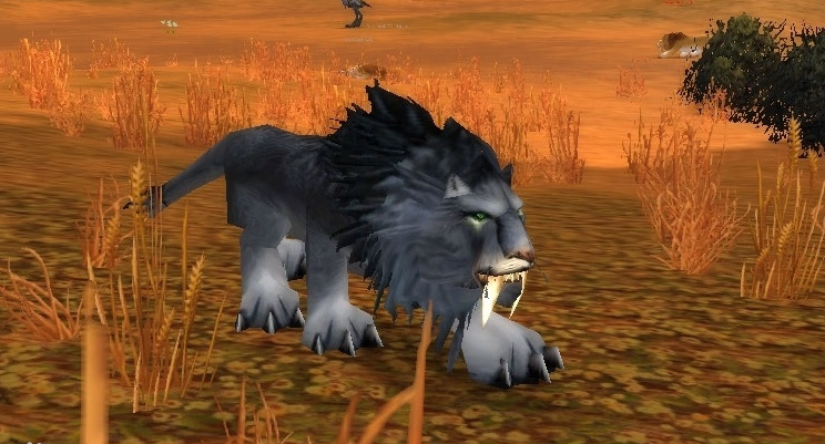 魔兽世界狮王休玛在哪抓具体坐标