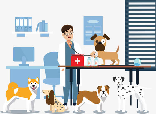 如何报考兽医资格证和职业兽医师