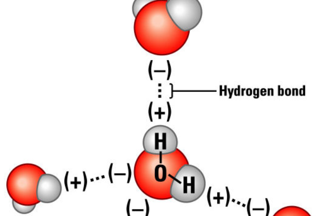 氢键是什么？
