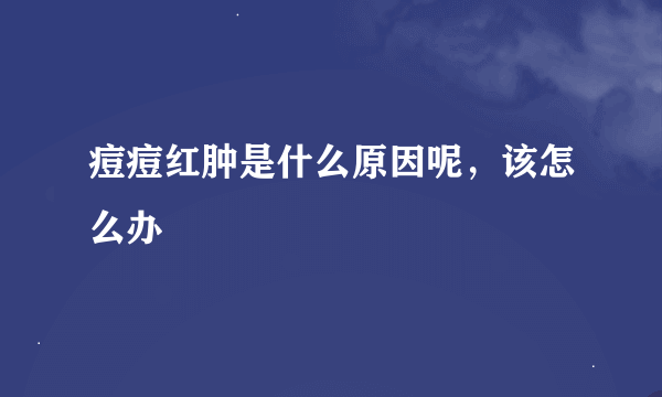 痘痘红肿是什么原因呢,该怎么办