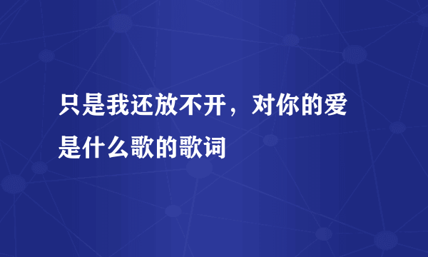 只是我还放不开，对你的爱 是什么歌的歌词