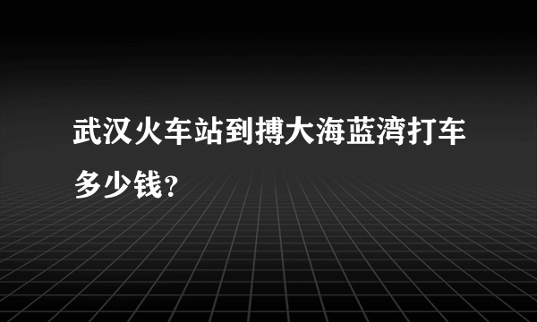 武汉火车站到搏大海蓝湾打车多少钱？