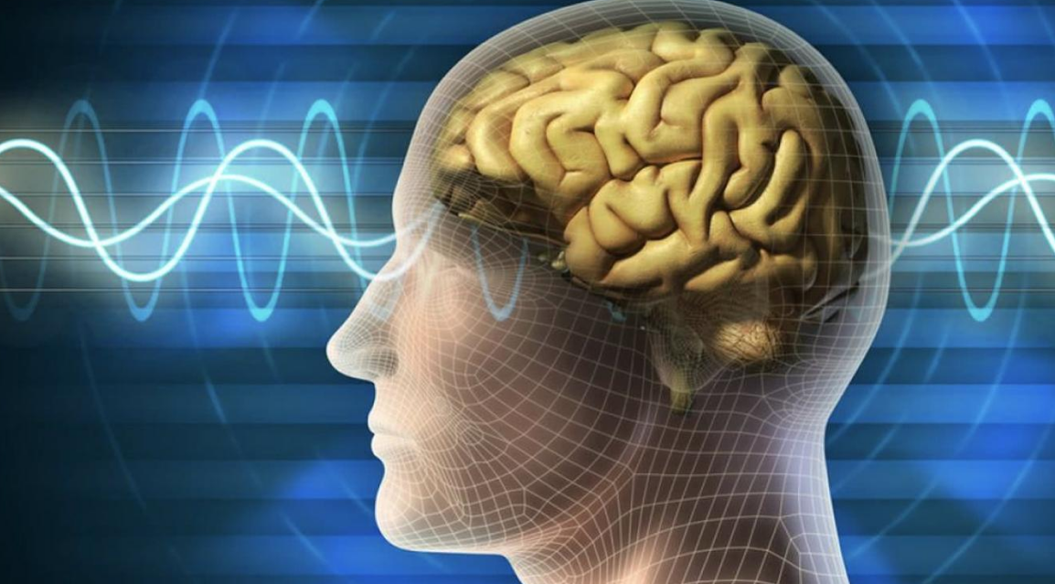 脑电图(EEG)和事件相关电位(ERP)有什么区别?愿意付出400分给最佳者!!!