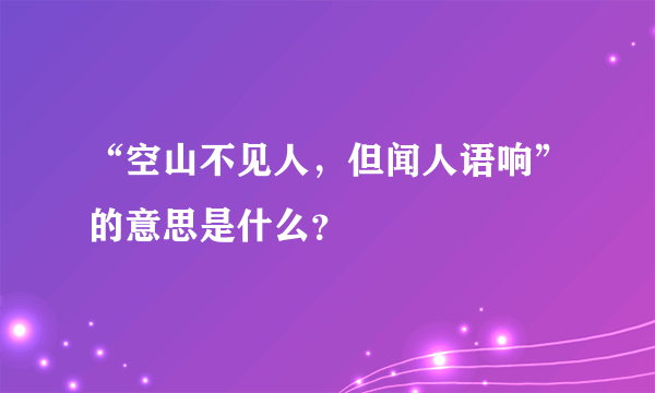 “空山不见人,但闻人语响”的意思是什么?