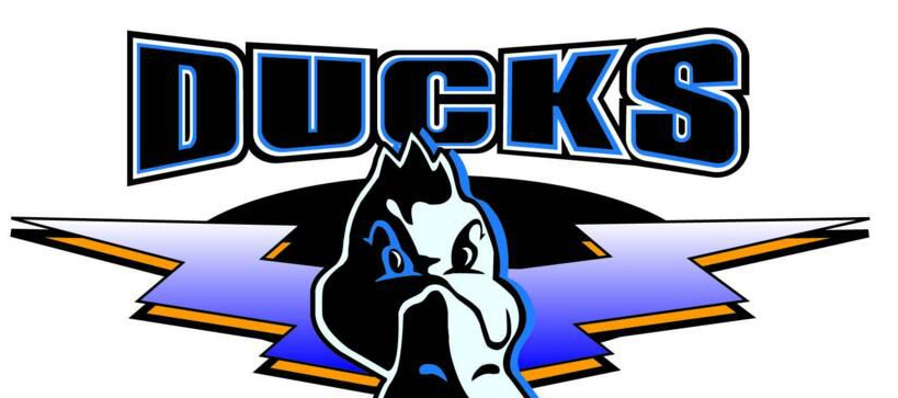 历届北京男篮队员名单