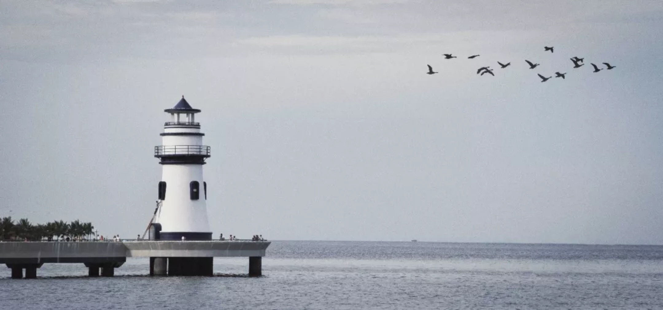 摄影作品怎么赏析