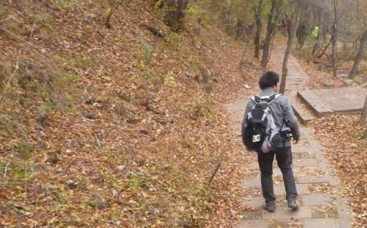 起网名 格式是 〝老衲法号﹏xxx