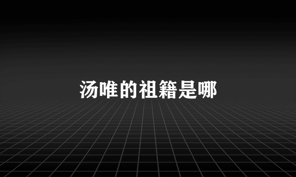 汤唯的祖籍是哪