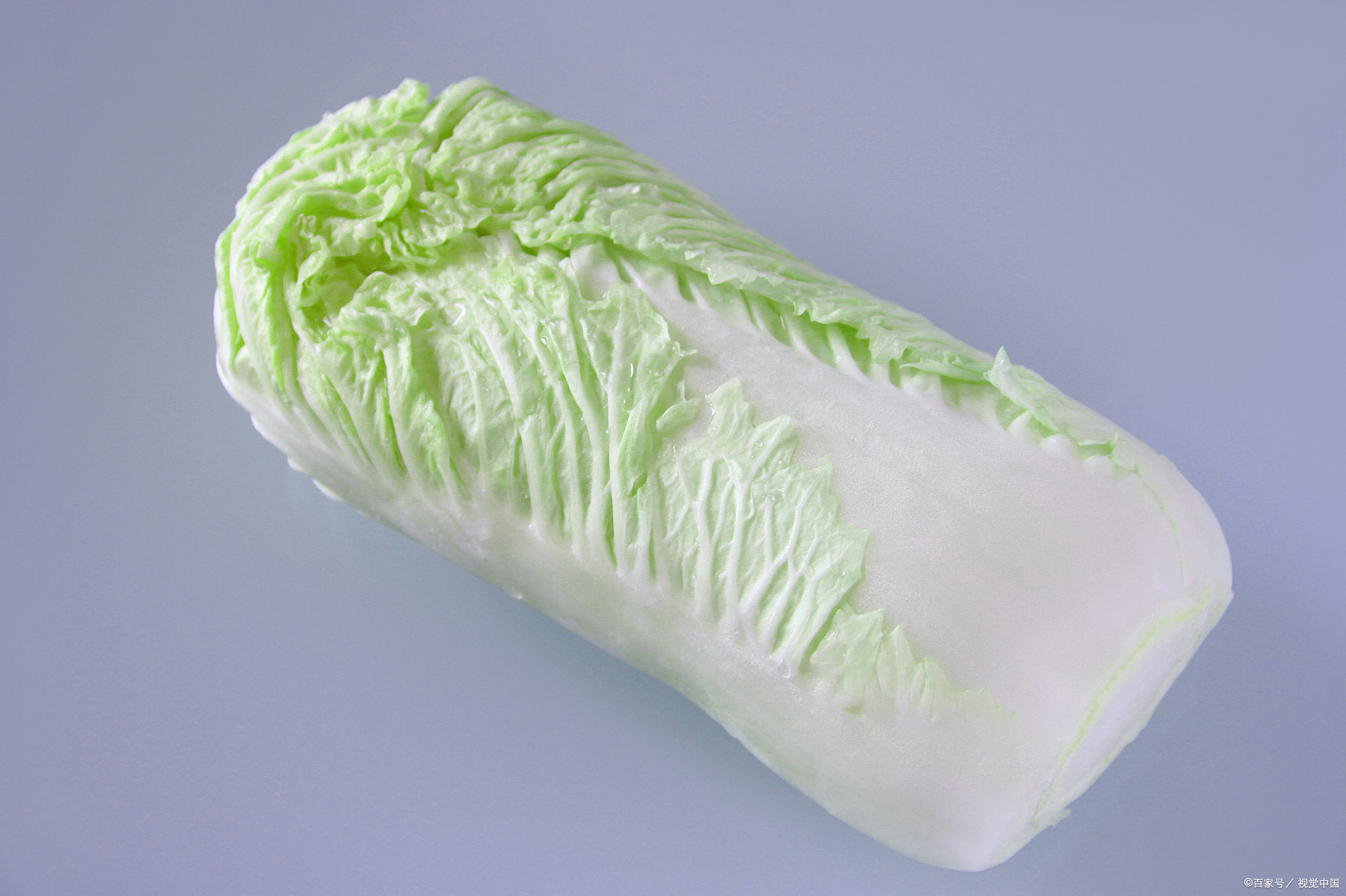 大白菜结球期需做好哪些措施呢？