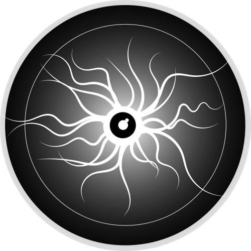 大主宰太古五族是哪些?