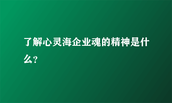 了解心灵海企业魂的精神是什么？