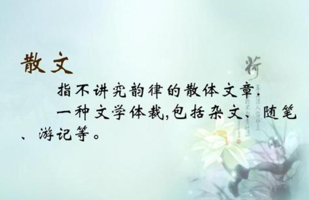 跋”一般是写在书籍或文章的前面还是后面?