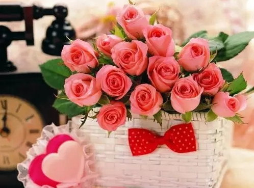 24朵玫瑰花的花语是什么?