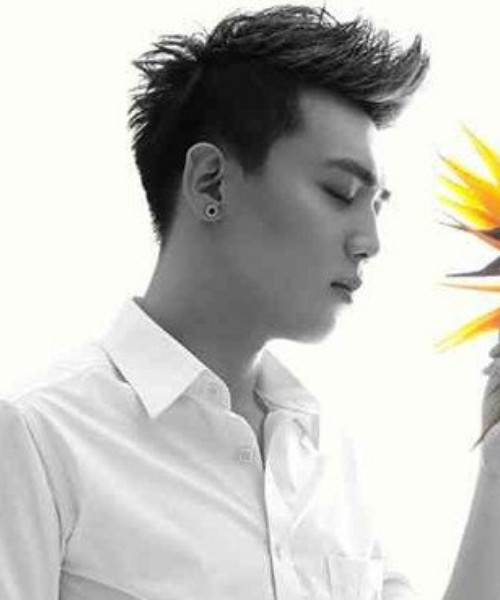 有一种头型是两边特别短上边挺长的发型叫什么发型（男的）