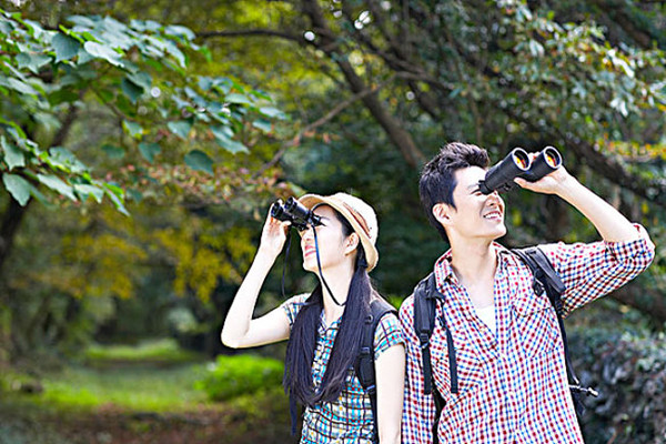 暑假去哪里好玩?