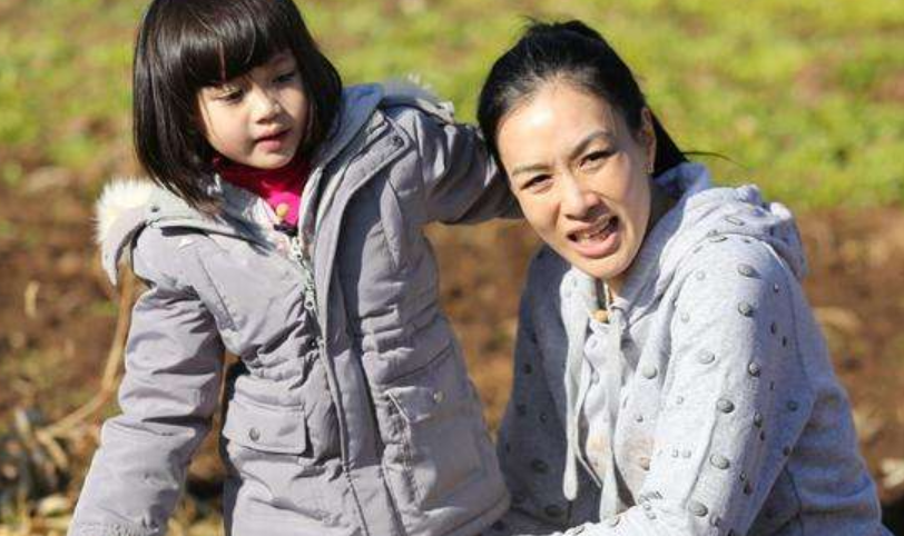 钟丽缇参演过哪些电视剧?