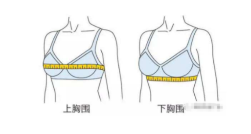 女人胸罩大小怎么分类的?