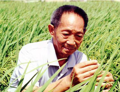 袁隆平的故事60字?