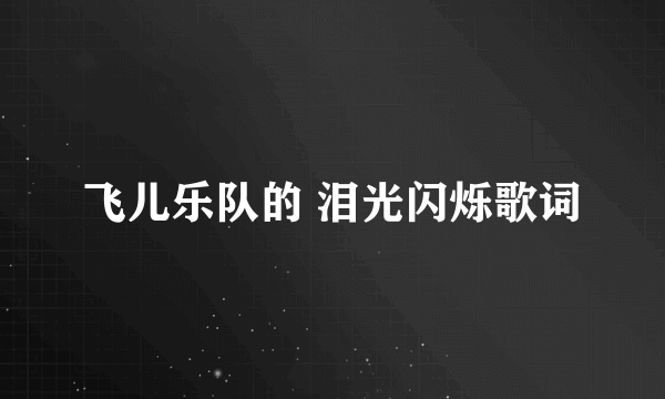 飞儿乐队的 泪光闪烁歌词