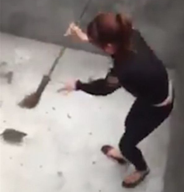 女子打扫卫生遭30厘米长老鼠攻击吗?