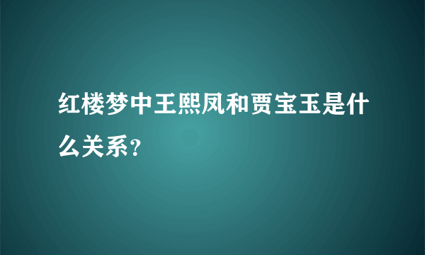 红楼梦中王熙凤和贾宝玉是什么关系？