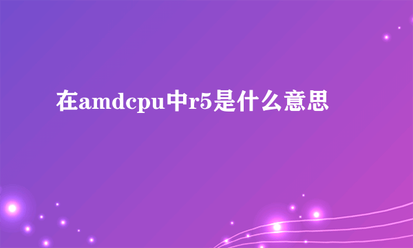在amdcpu中r5是什么意思