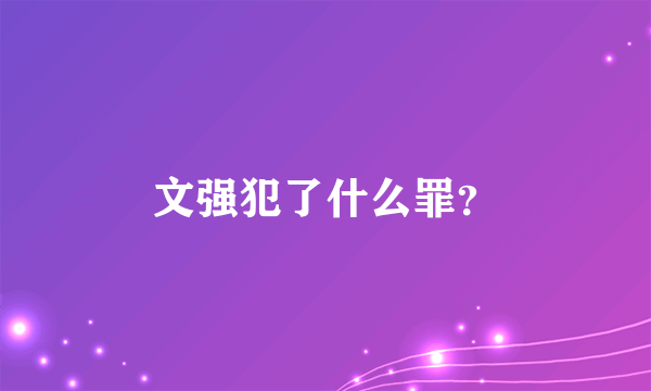 文强犯了什么罪?