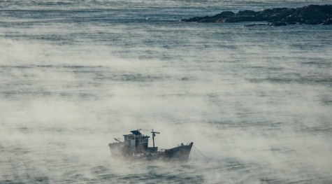 大连附近海域出现海浩现象,这是一种什么现象?