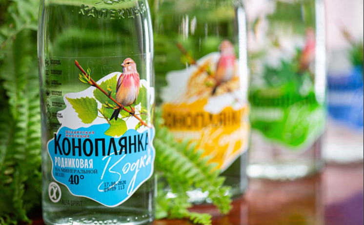 小鸟伏特加的解释是什么?