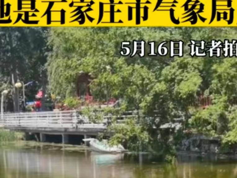 石家庄气象局长勇救落水娃后离开,此事为何会引发网友热议?