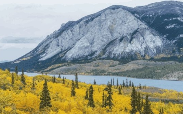 我们热爱河流就像什么?