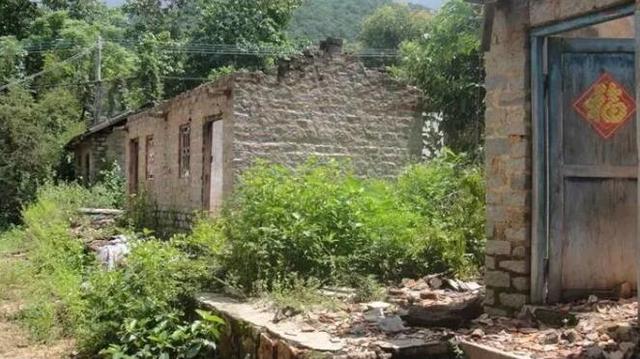 农村里荒废的旧房子浪费了很多土地,该如何利用这些土地?