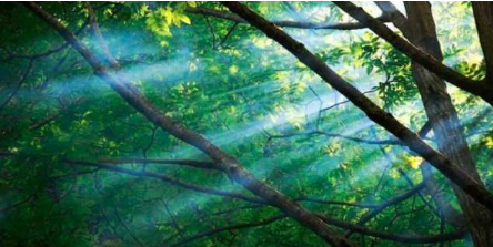 古诗光阴似箭的下一句是什么?