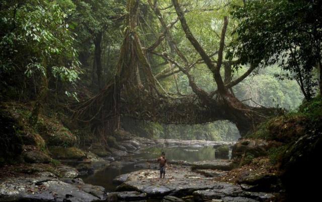 世界上最潮湿的地方是哪里?