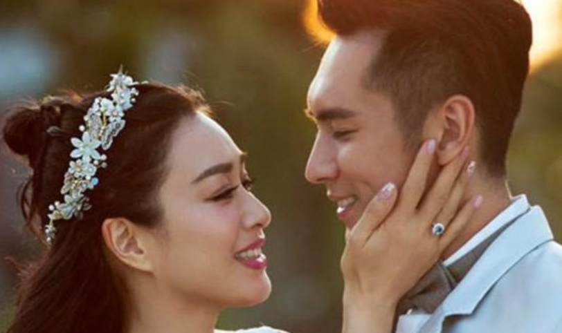 钟丽缇参演过哪些电视剧?