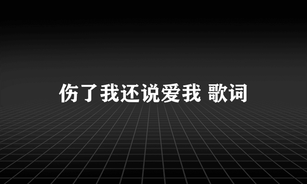 伤了我还说爱我 歌词