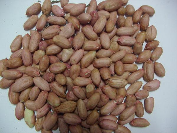 吃花生能够减肥么?