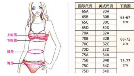 36d的文胸是多大码数?