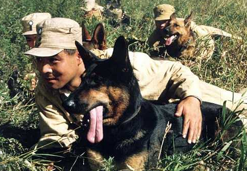 关于中国警犬的电影