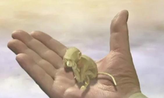 《西游记》六耳猕猴的真实来历是什么?