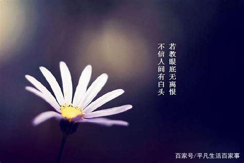 死者已矣 生者如斯 什么意思?