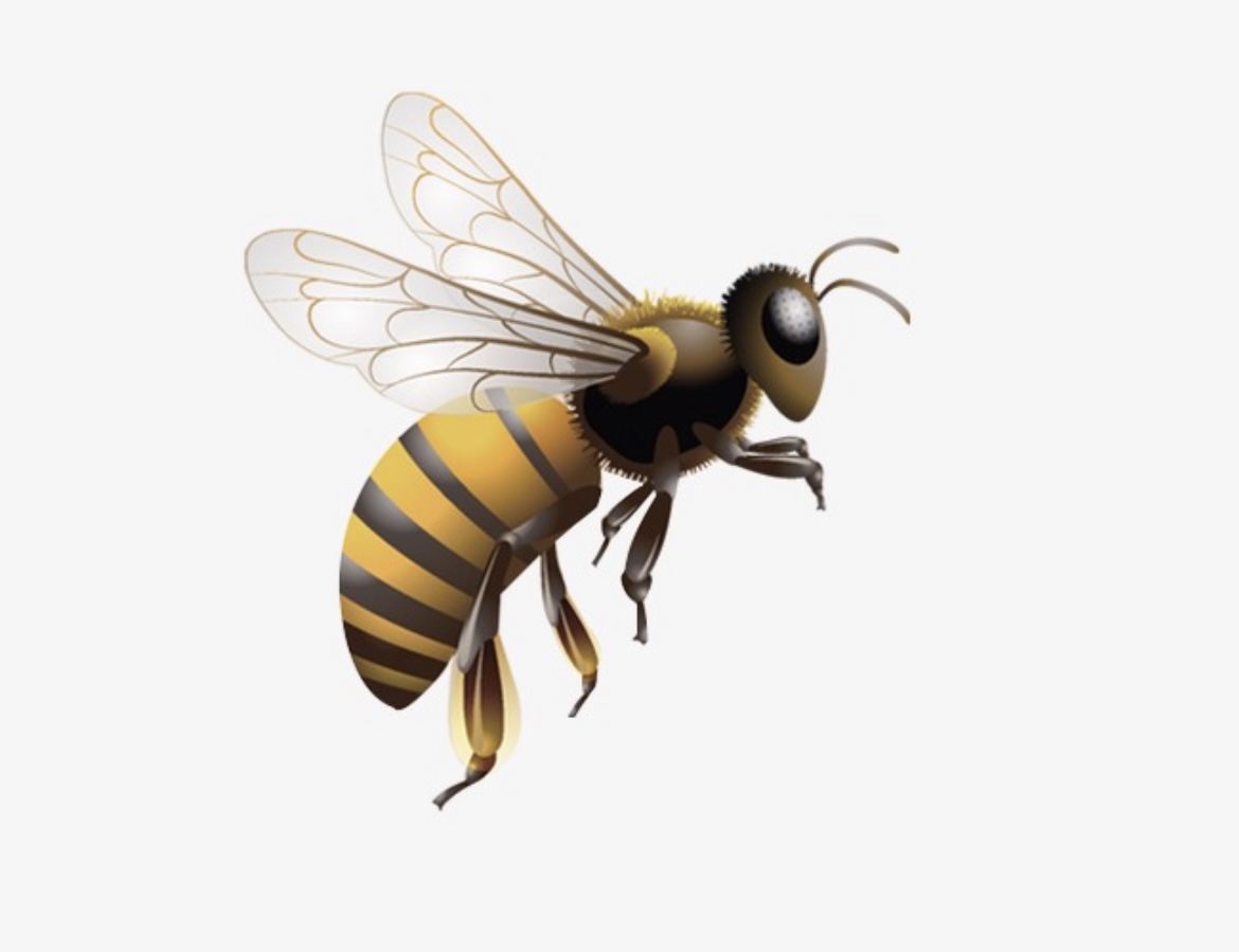 在南方宿舍里,你觉得最大的威胁是什么?