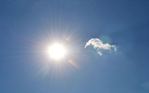 干字加一笔能变成哪五个新字?